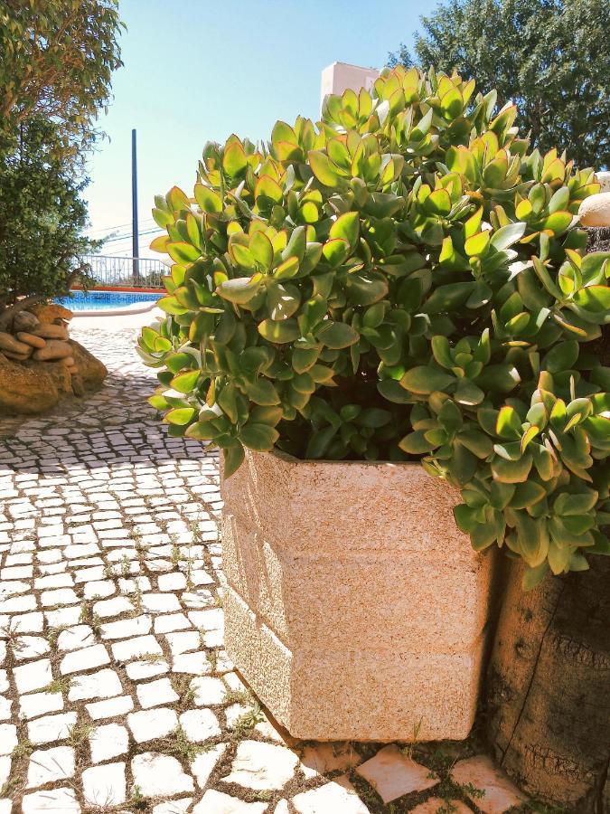 Quinta Dos Caracois Parco vacanze 3*